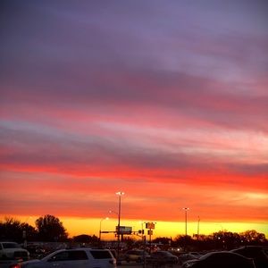 Meet your Posher, Bailey